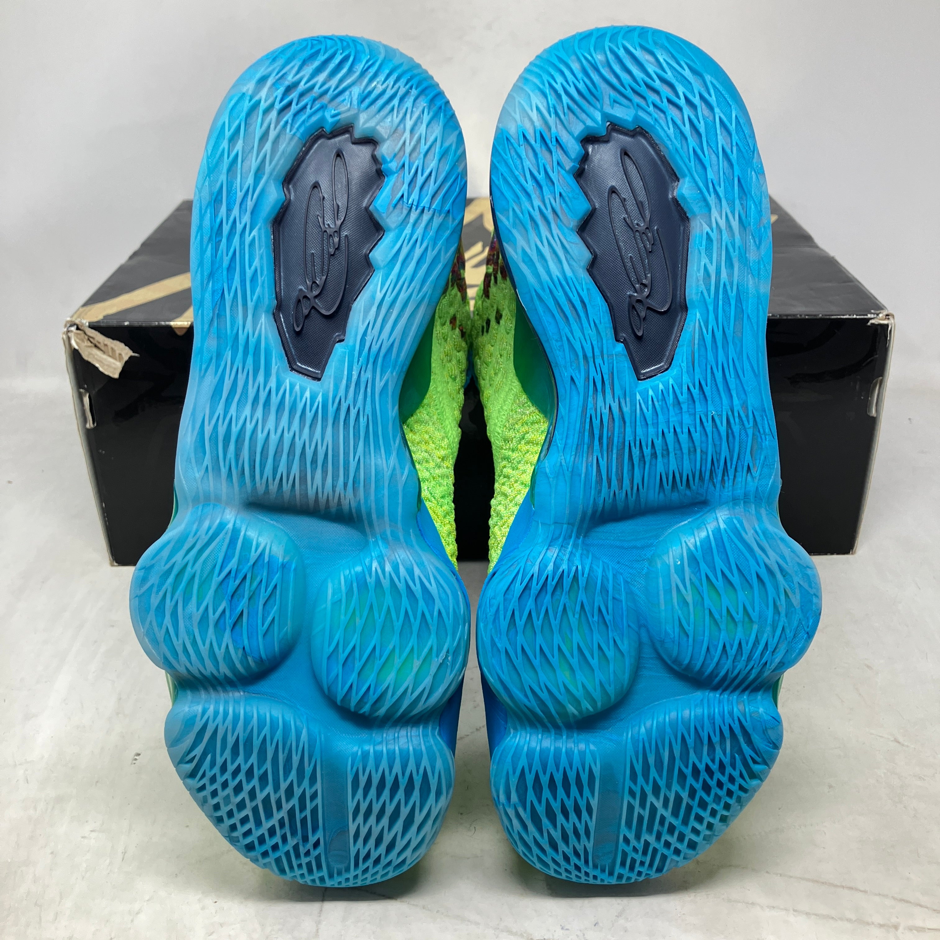 Nike LeBron 17 Mr. Swackhammer