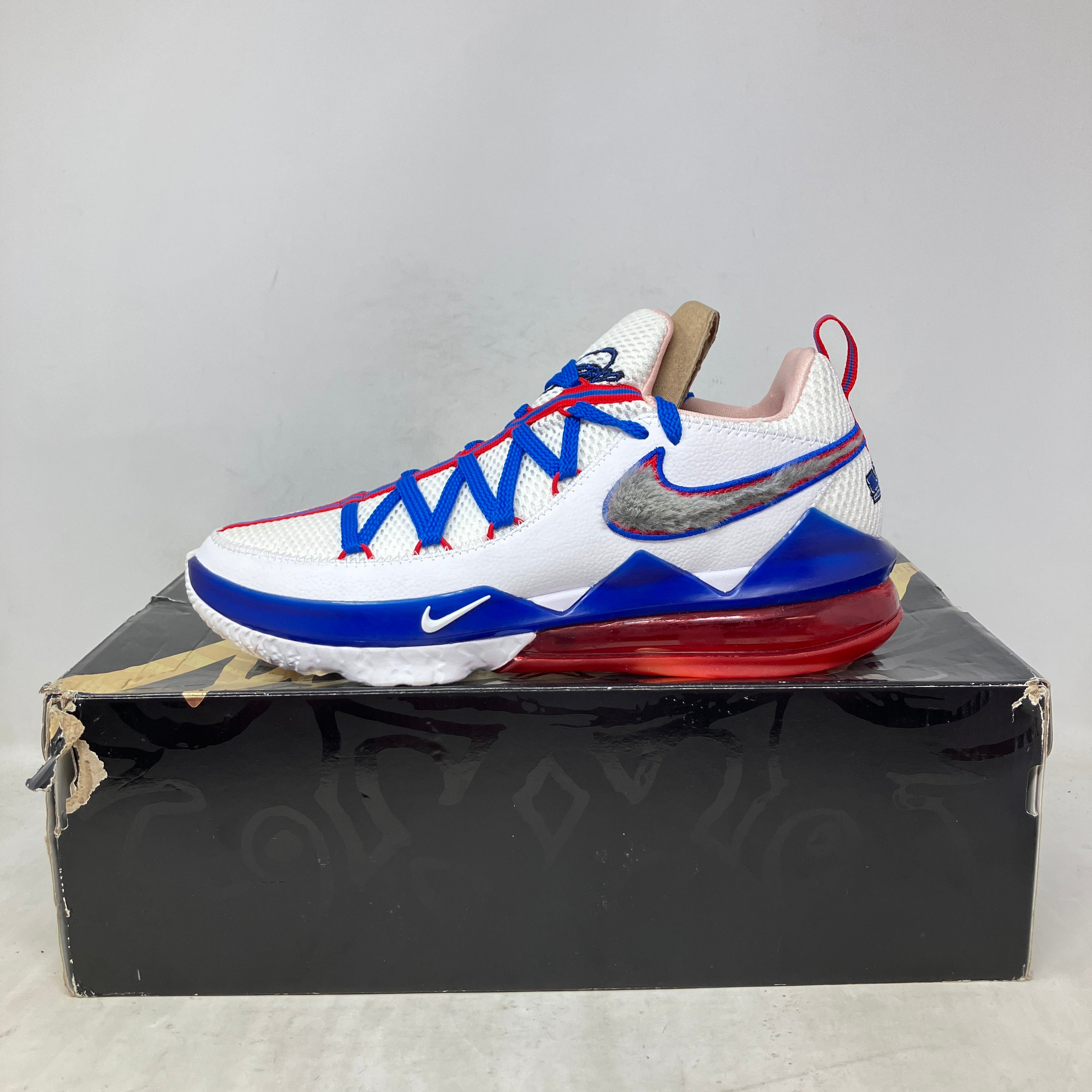 Nike LeBron 17 Low Tune Squad