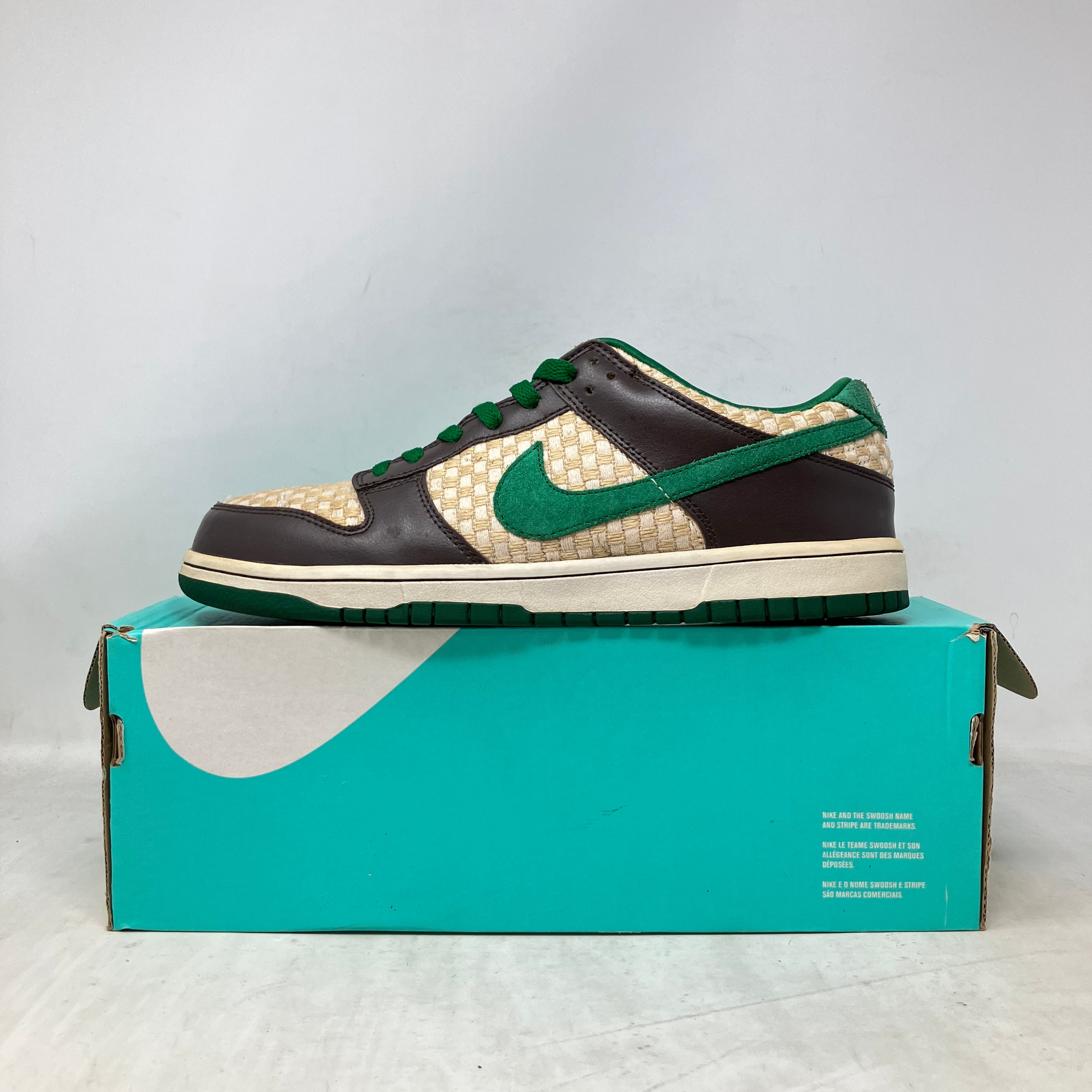 Nike Dunk Low 6.0