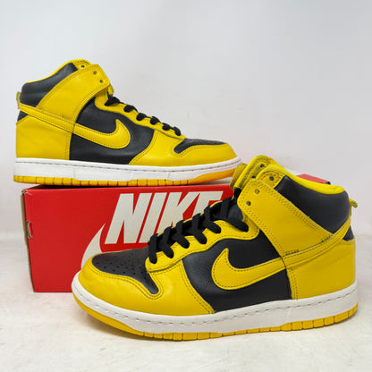 Nike Dunk High Iowa (2020)