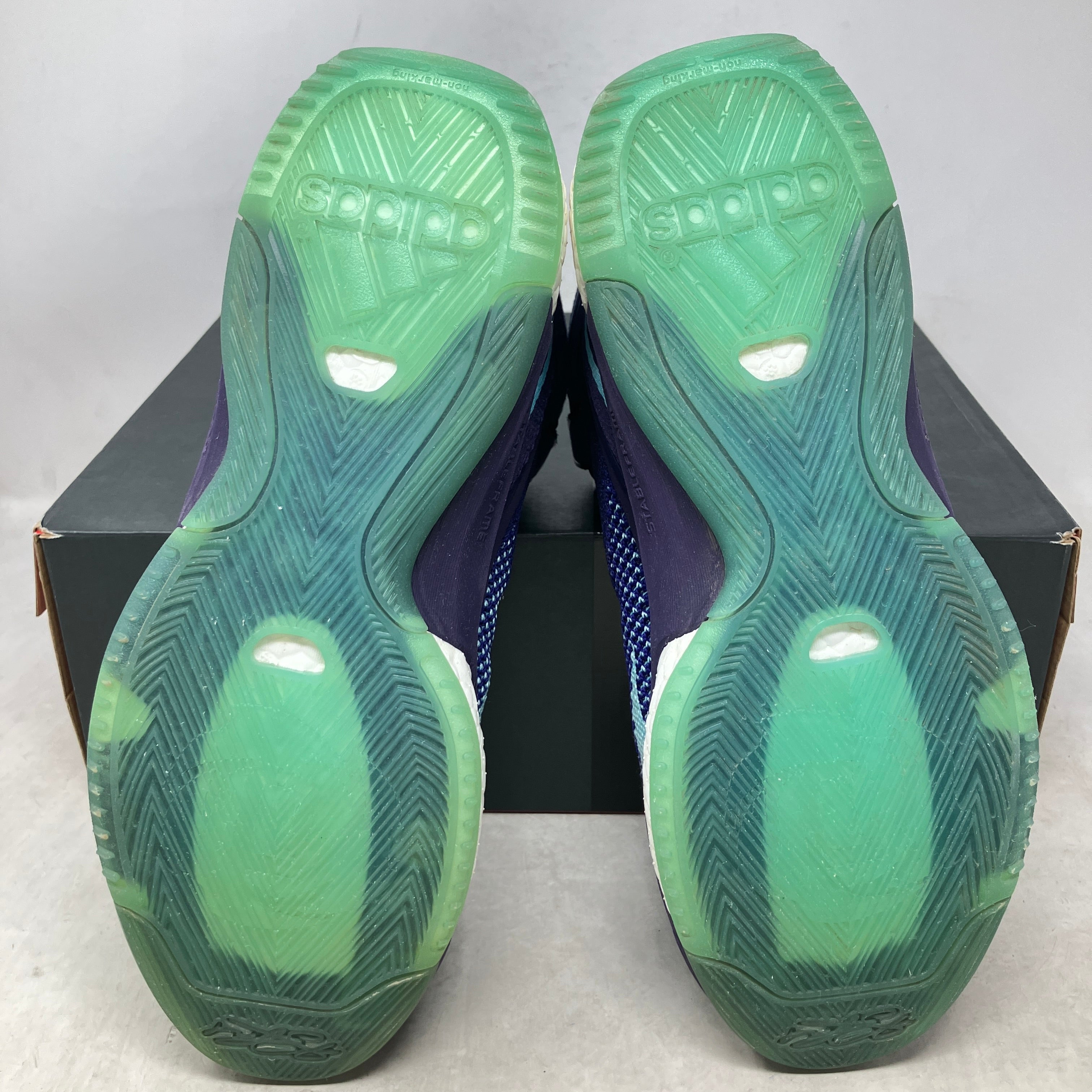 adidas D Rose 6 Boost Primeknit Purple Blue