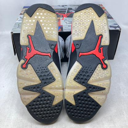 Jordan 6 Retro Reflections of a Champion