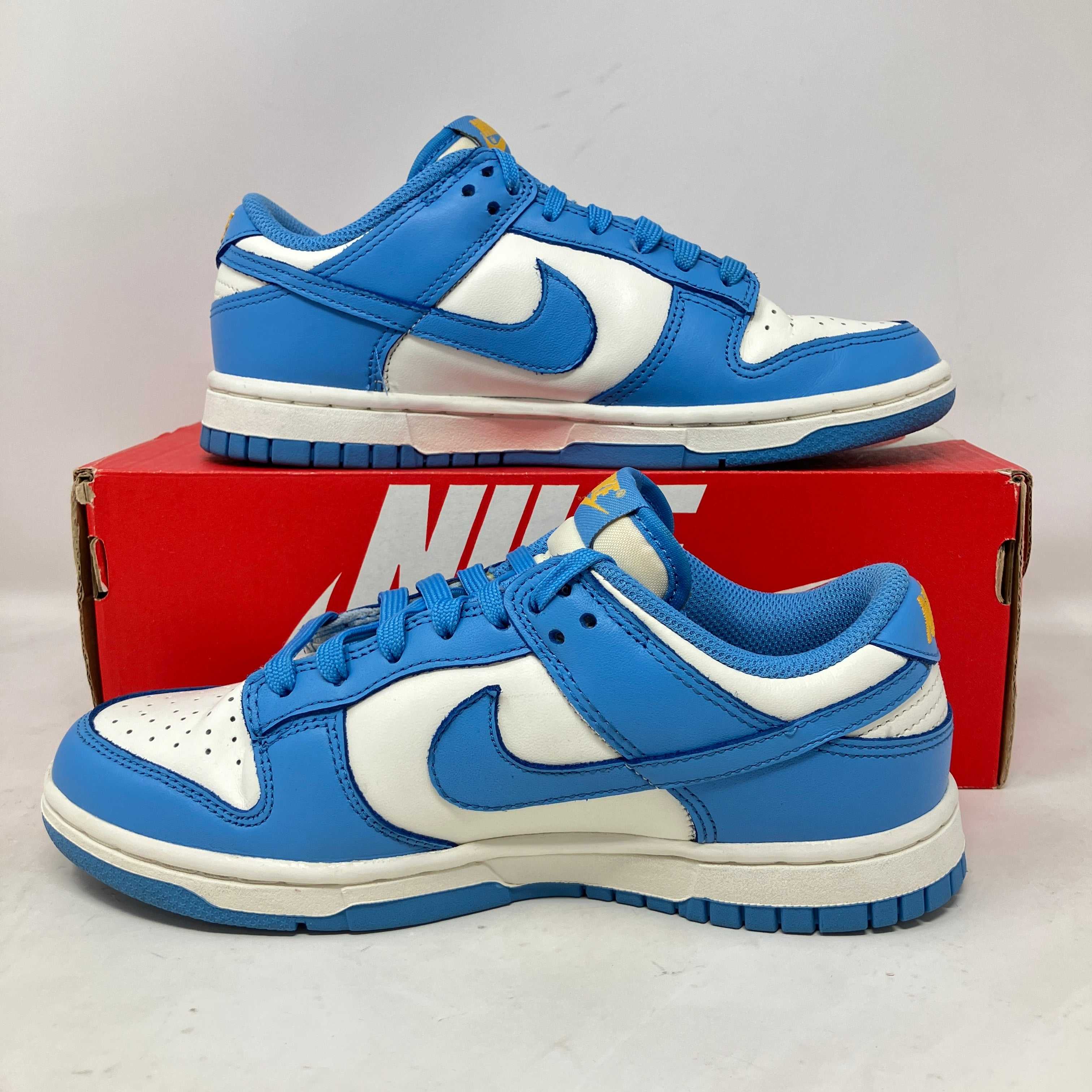 Nike Dunk Low Coast (Women's)