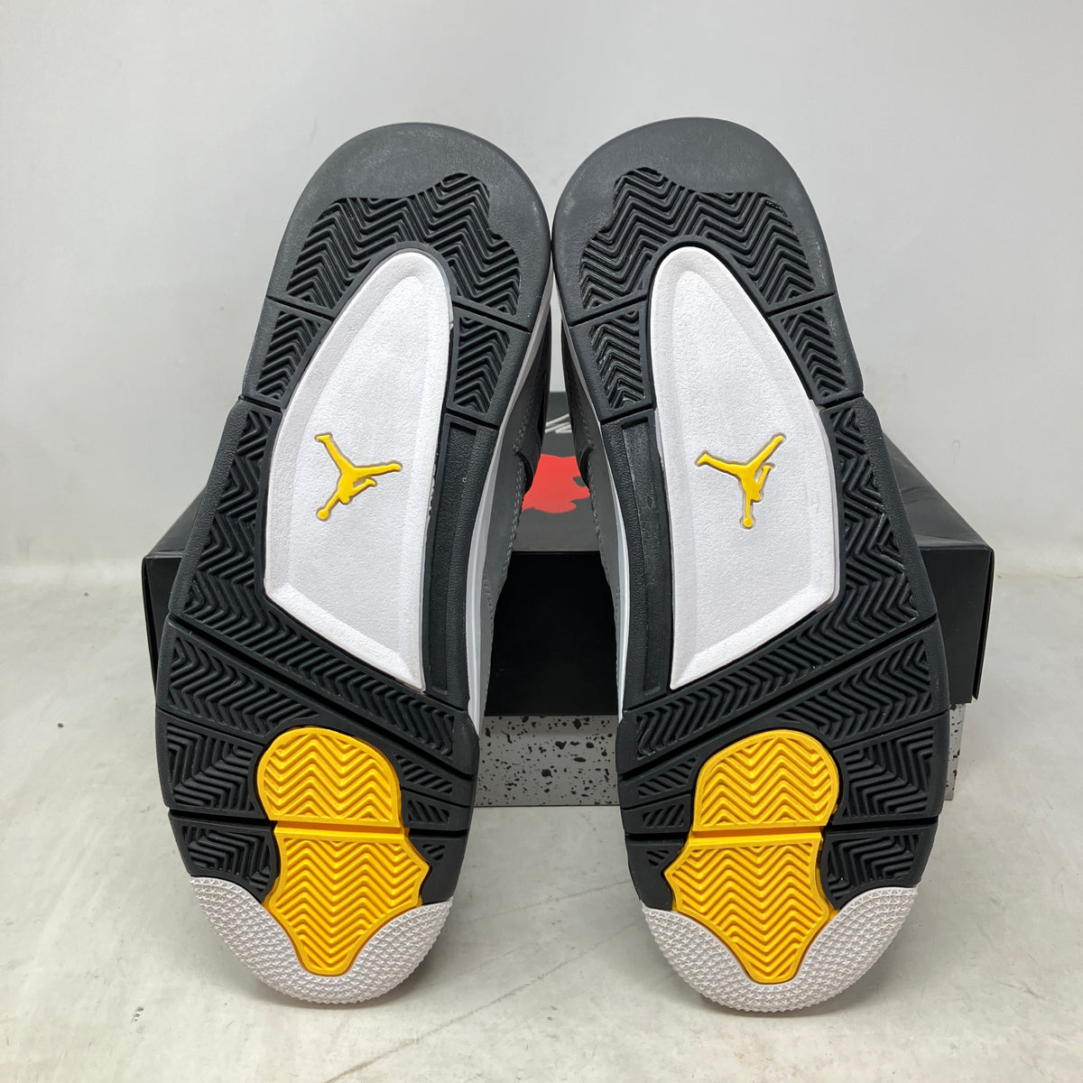 Jordan 4 Retro Cool Grey (2019)