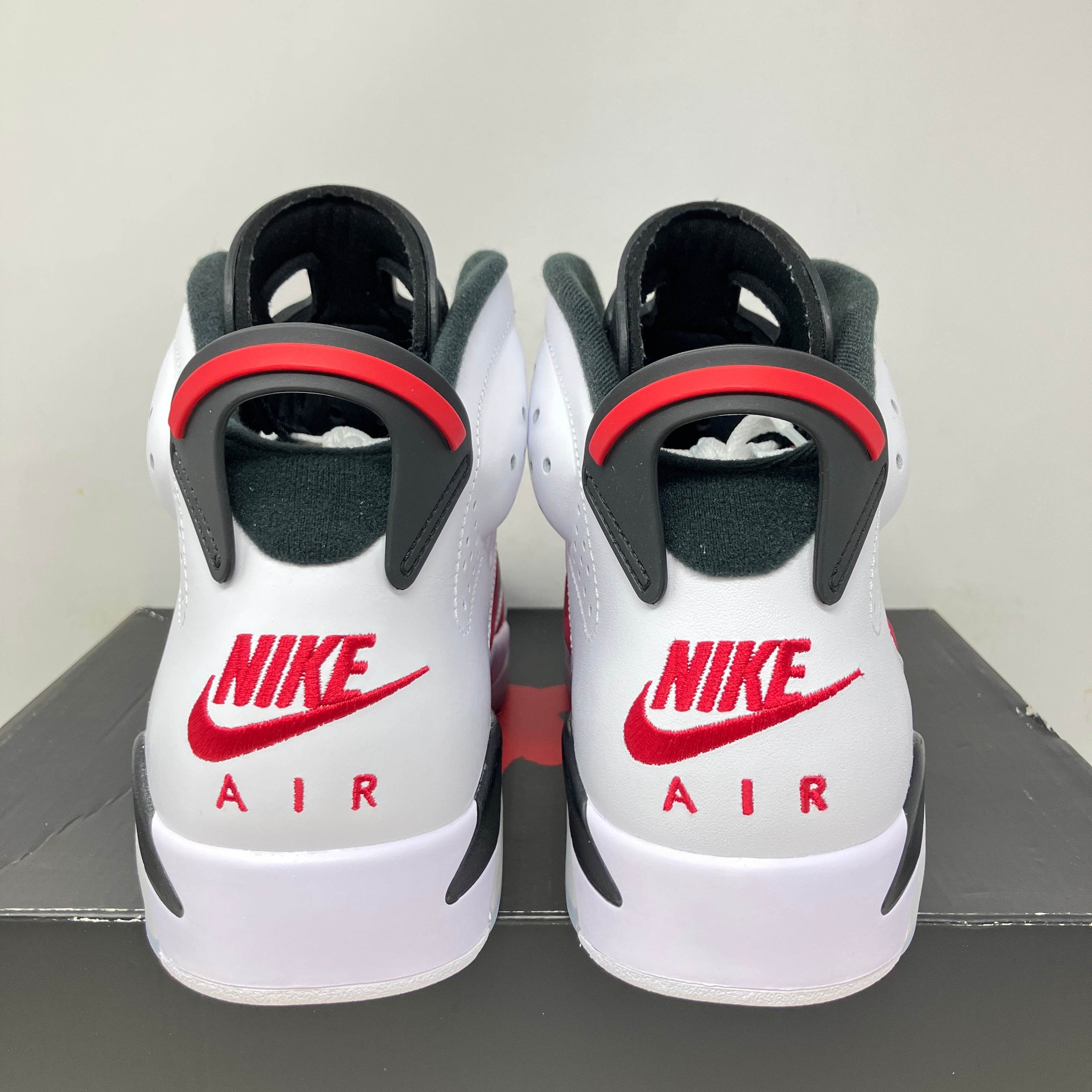 Jordan 6 Retro Carmine (2021)