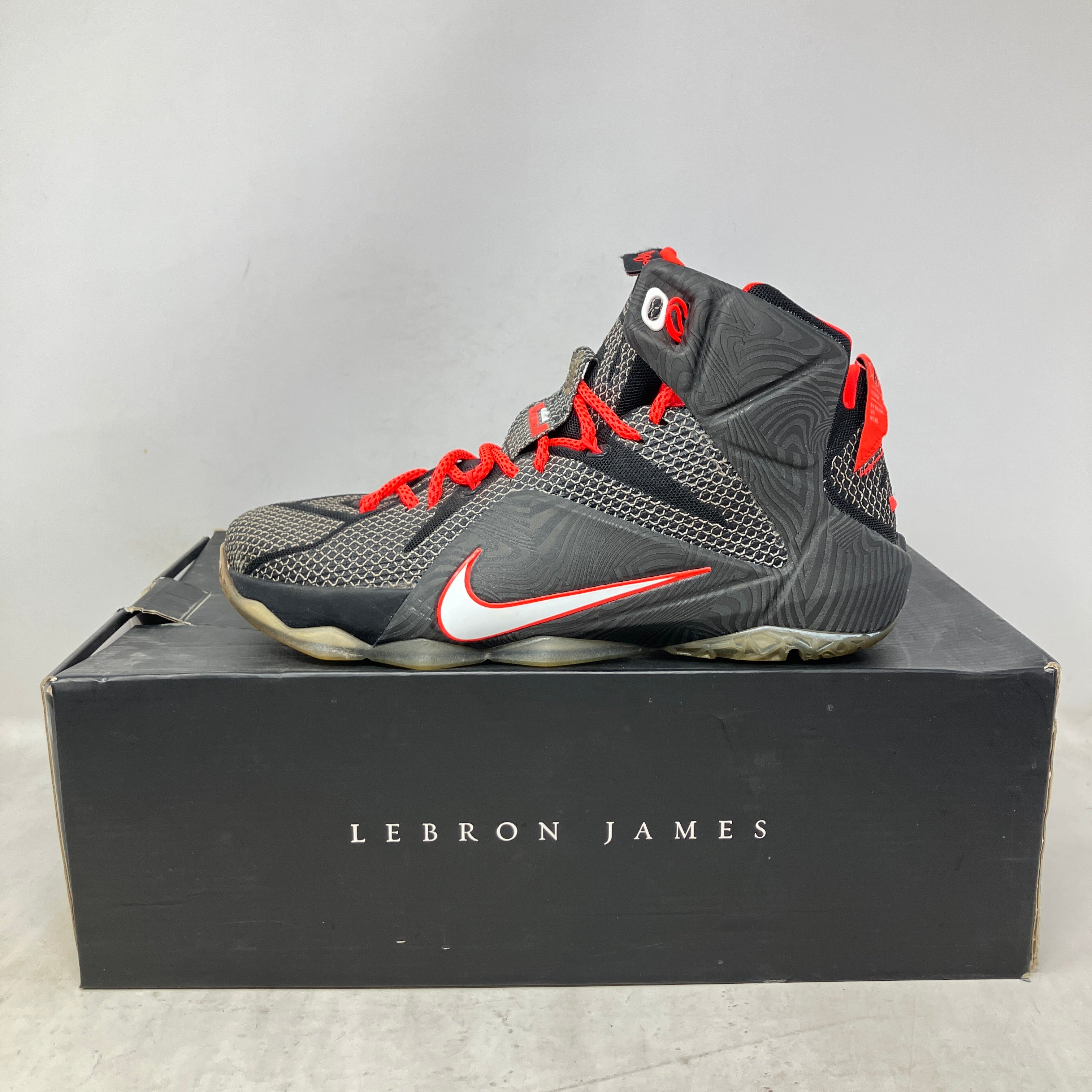 Nike LeBron 12 Court Vision