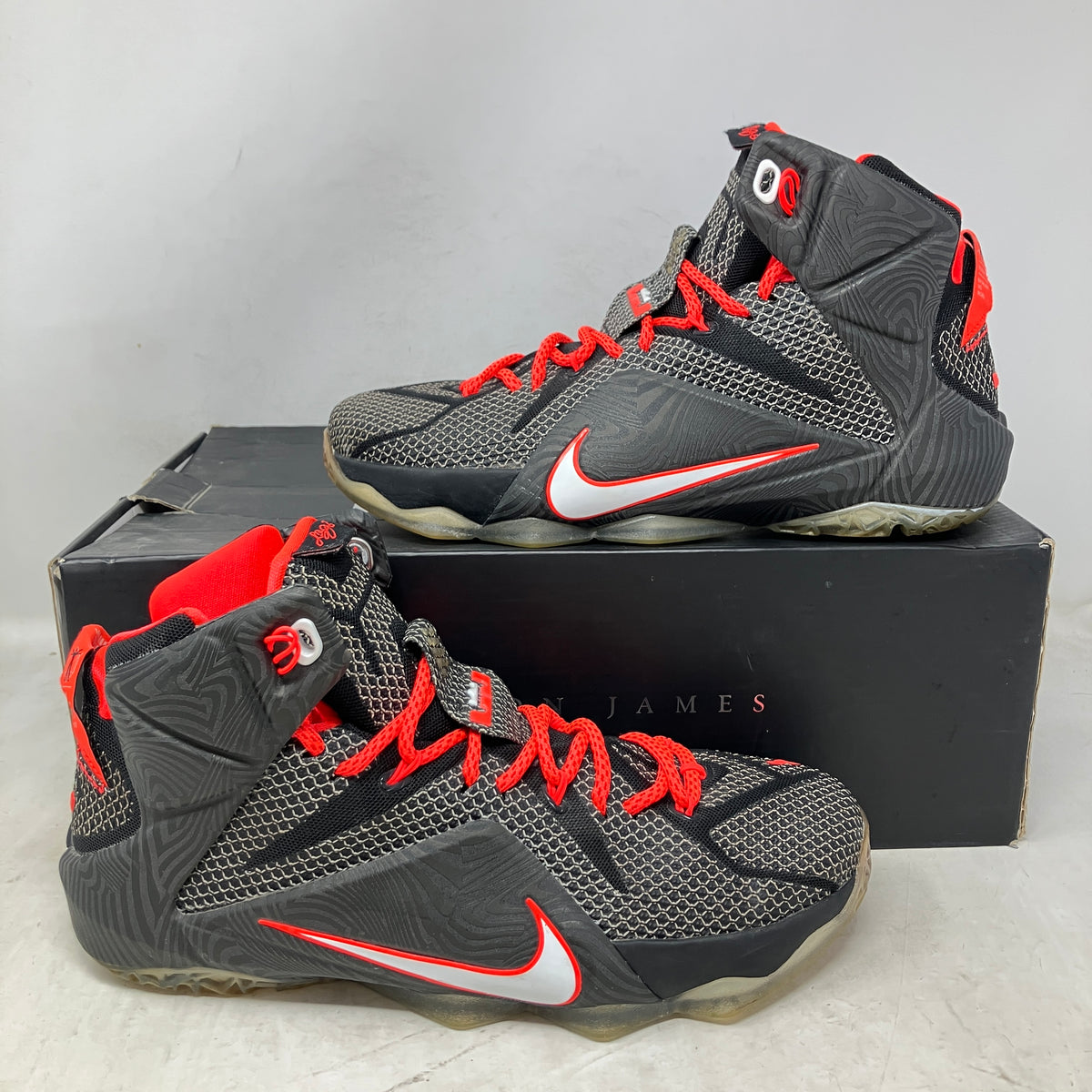 Nike LeBron 12 Court Vision