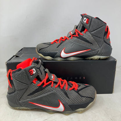 Nike LeBron 12 Court Vision