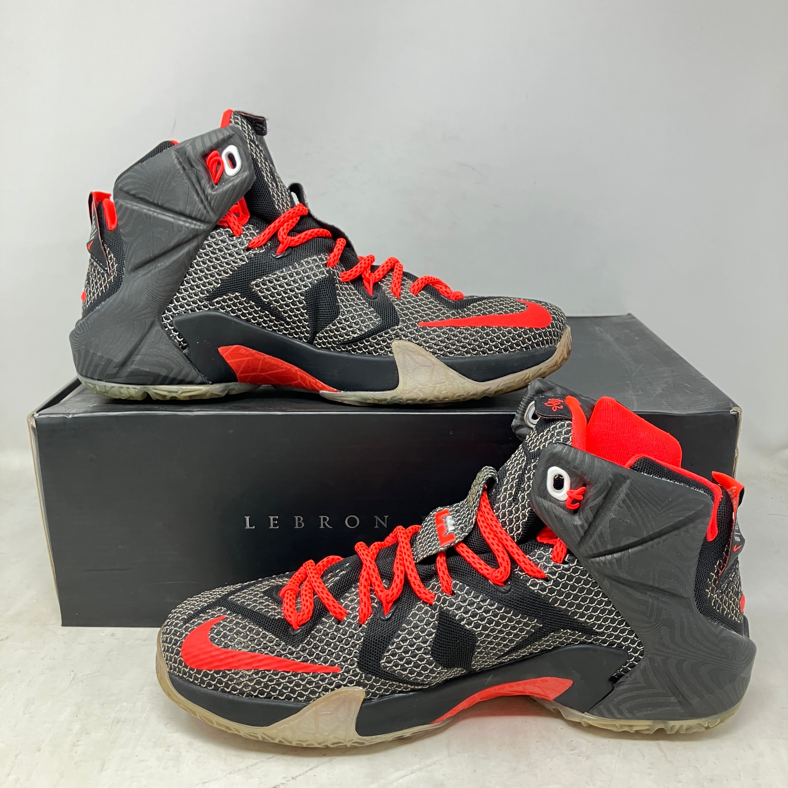 Nike LeBron 12 Court Vision