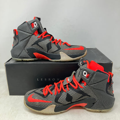 Nike LeBron 12 Court Vision