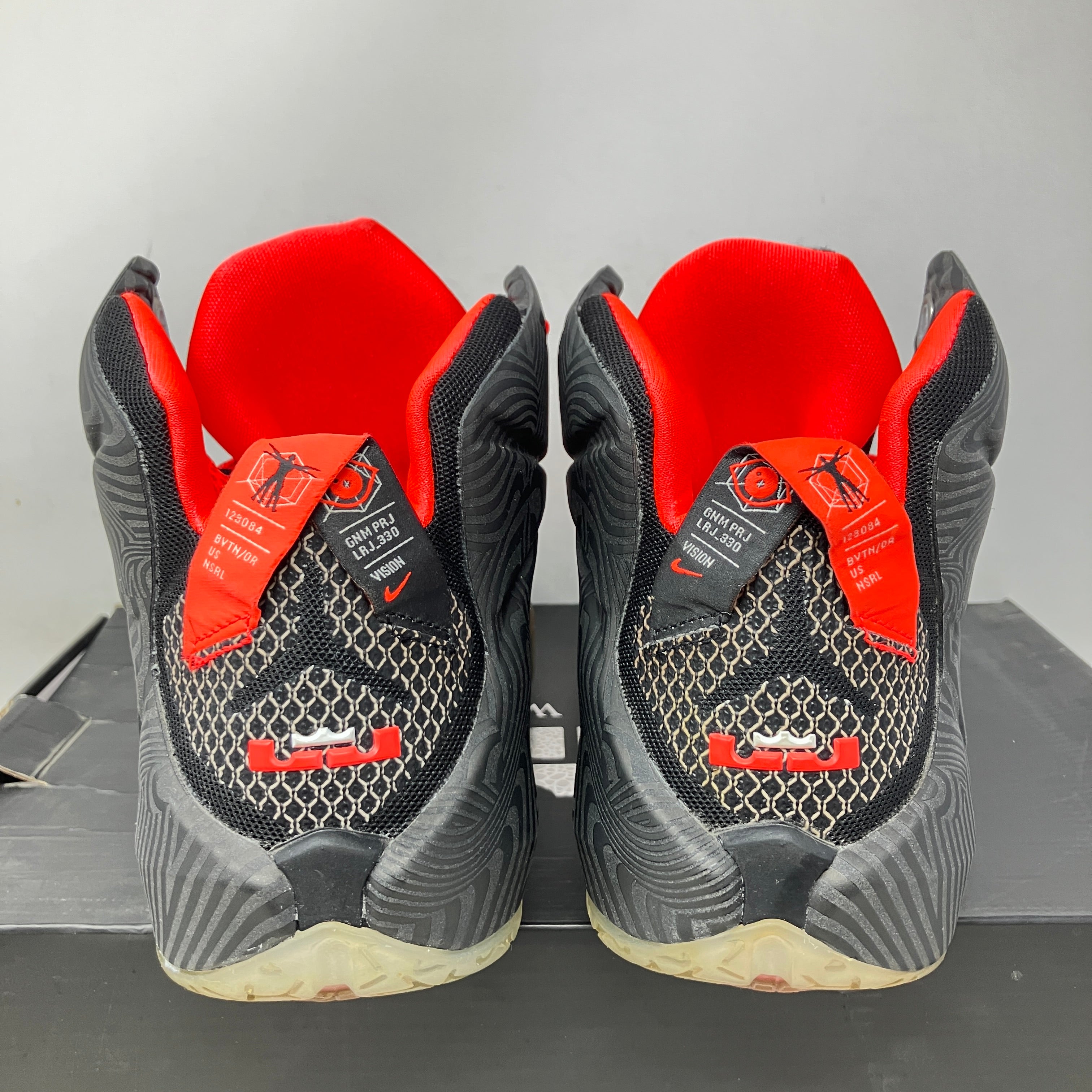 Nike LeBron 12 Court Vision