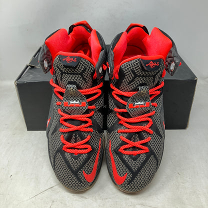 Nike LeBron 12 Court Vision