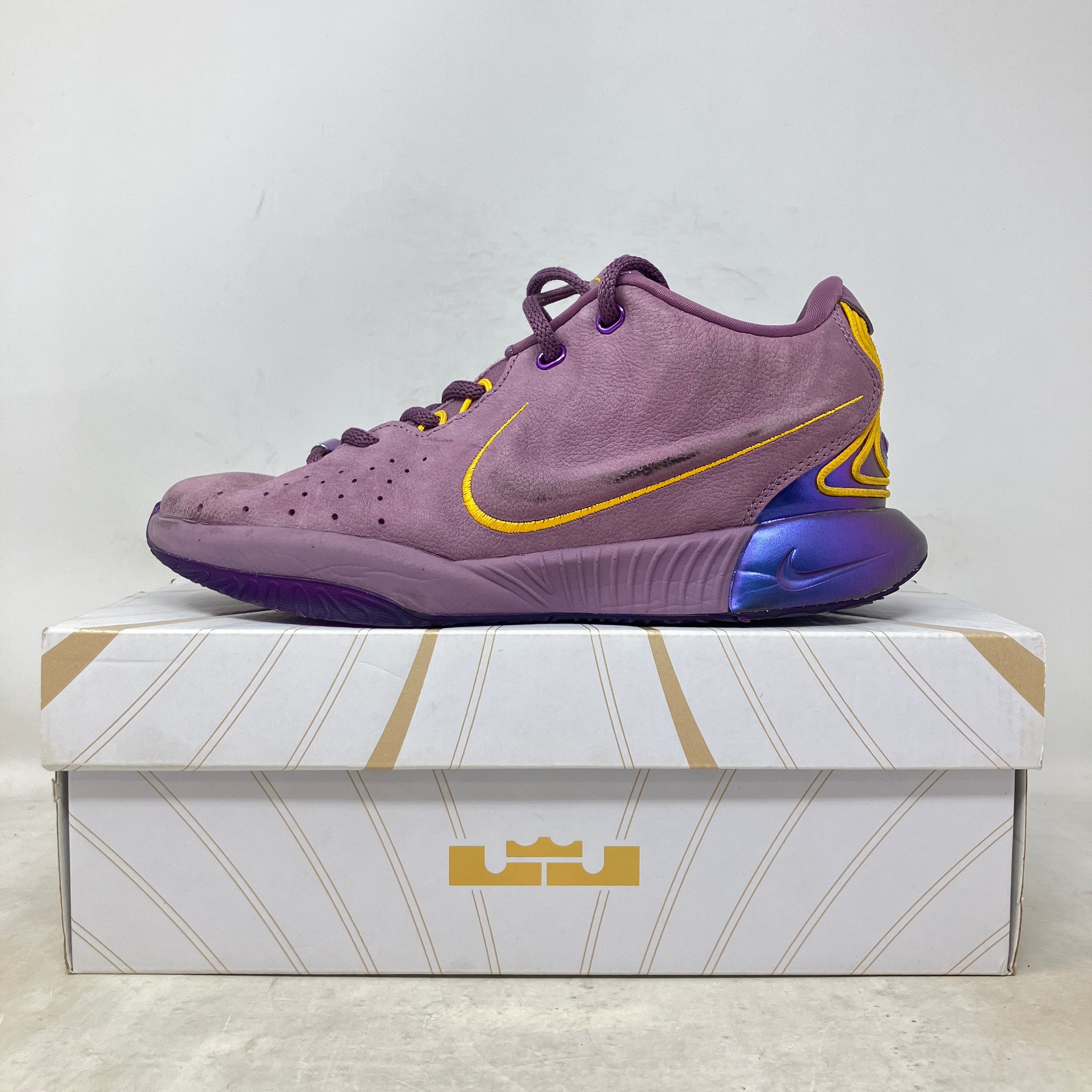 Nike LeBron 21 Purple Rain (GS)