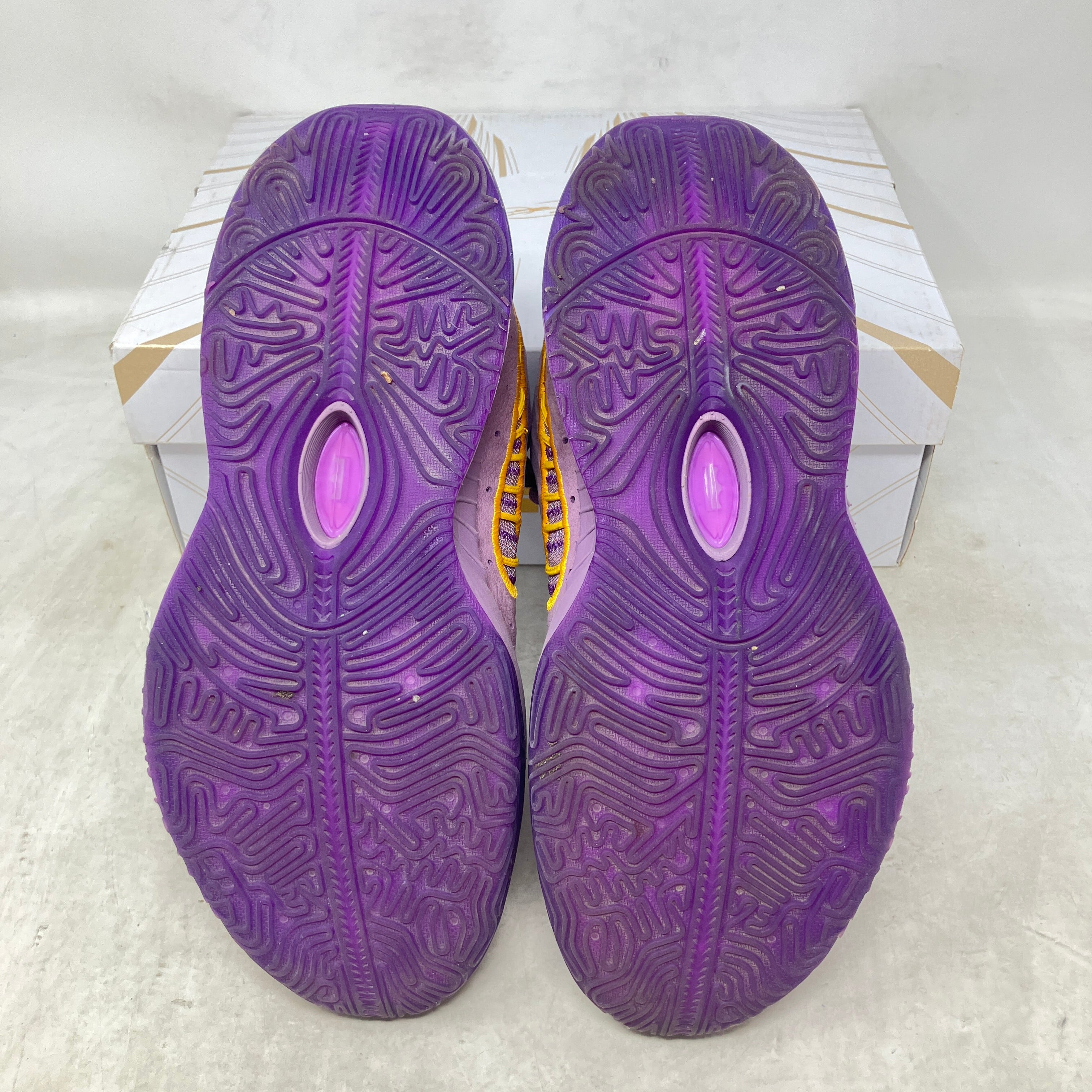 Nike LeBron 21 Purple Rain (GS)