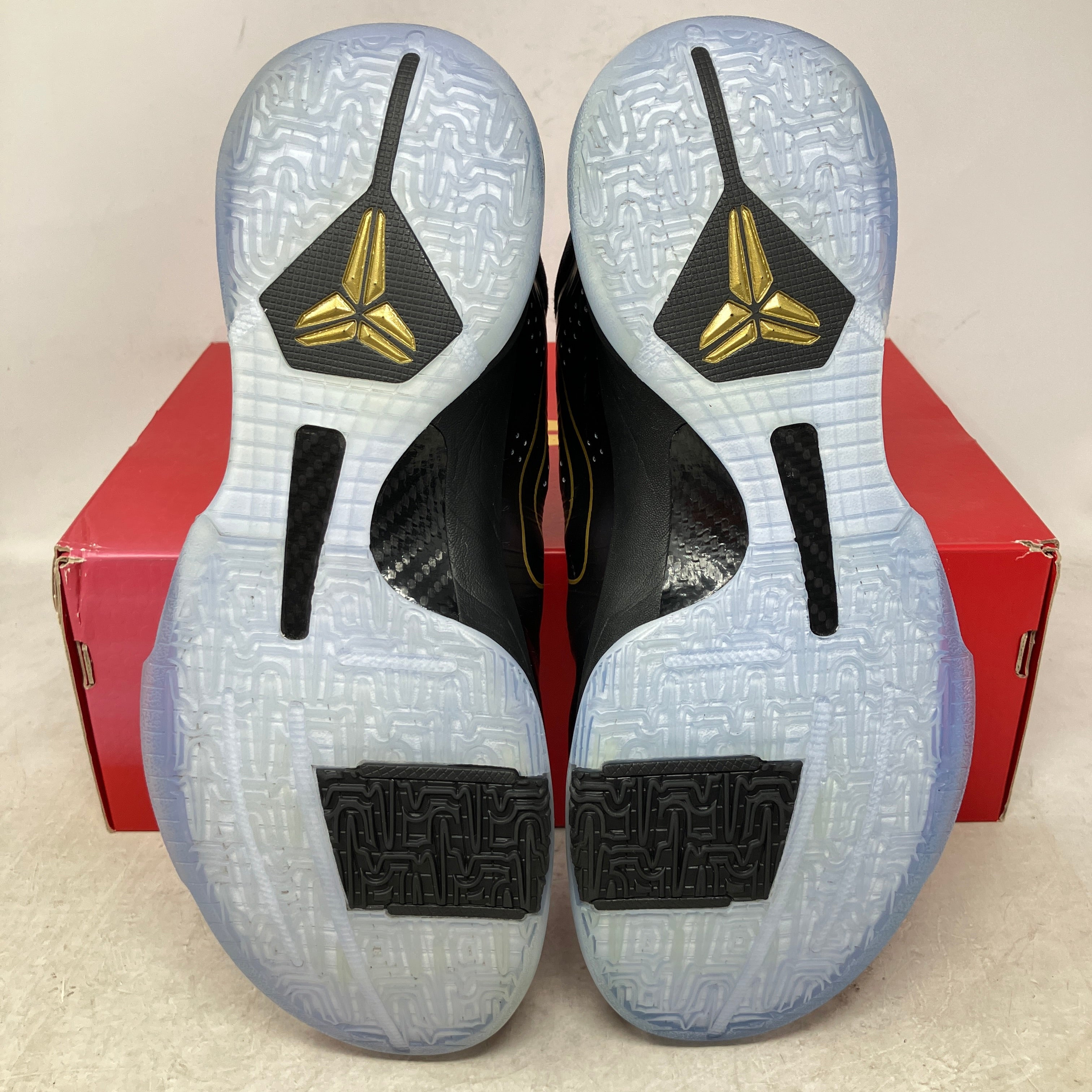 Nike Kobe 5 Protro Year of the Mamba Eggplant