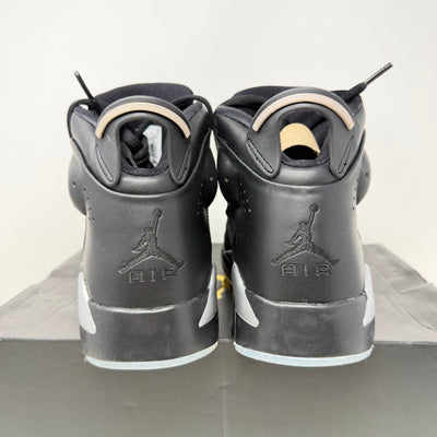 Jordan 6-17-23 Metallic Silver