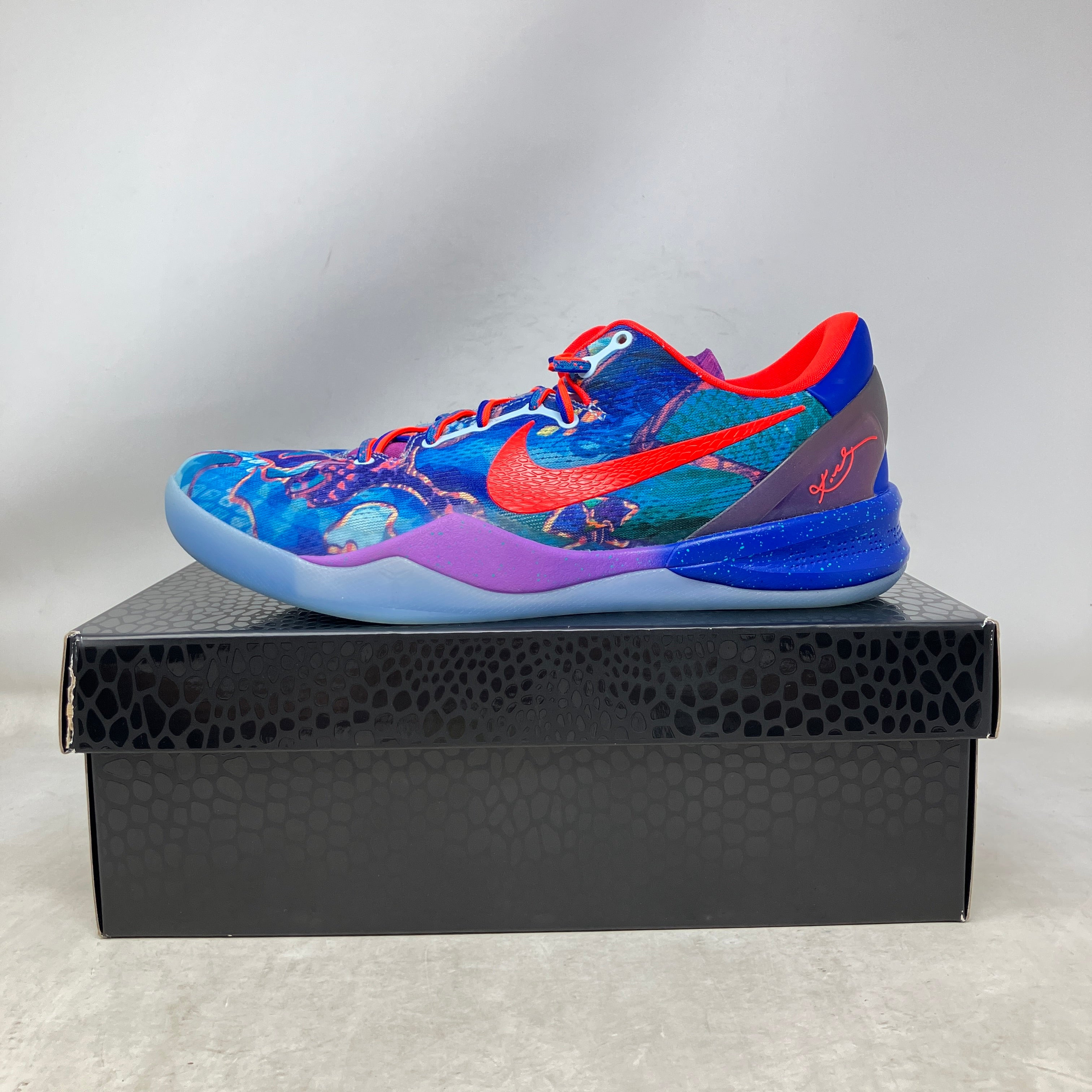 Nike Kobe 8 Protro What The (2025)
