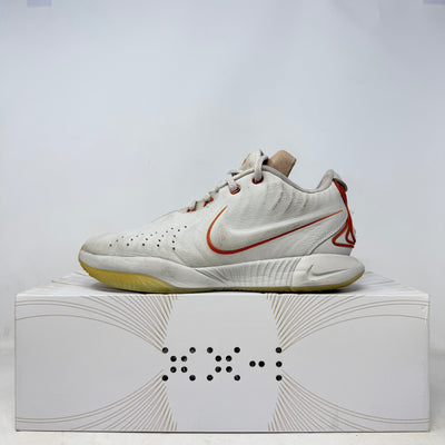 Nike LeBron 21 Akoya