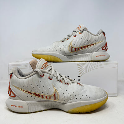 Nike LeBron 21 Akoya