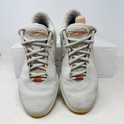 Nike LeBron 21 Akoya