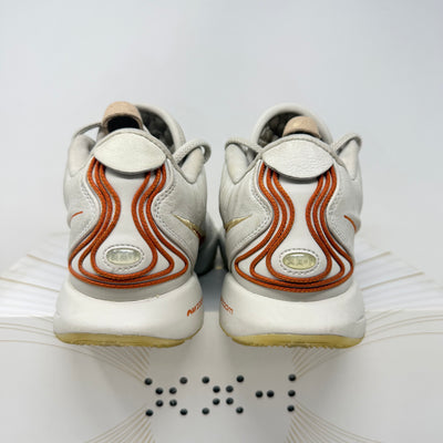 Nike LeBron 21 Akoya
