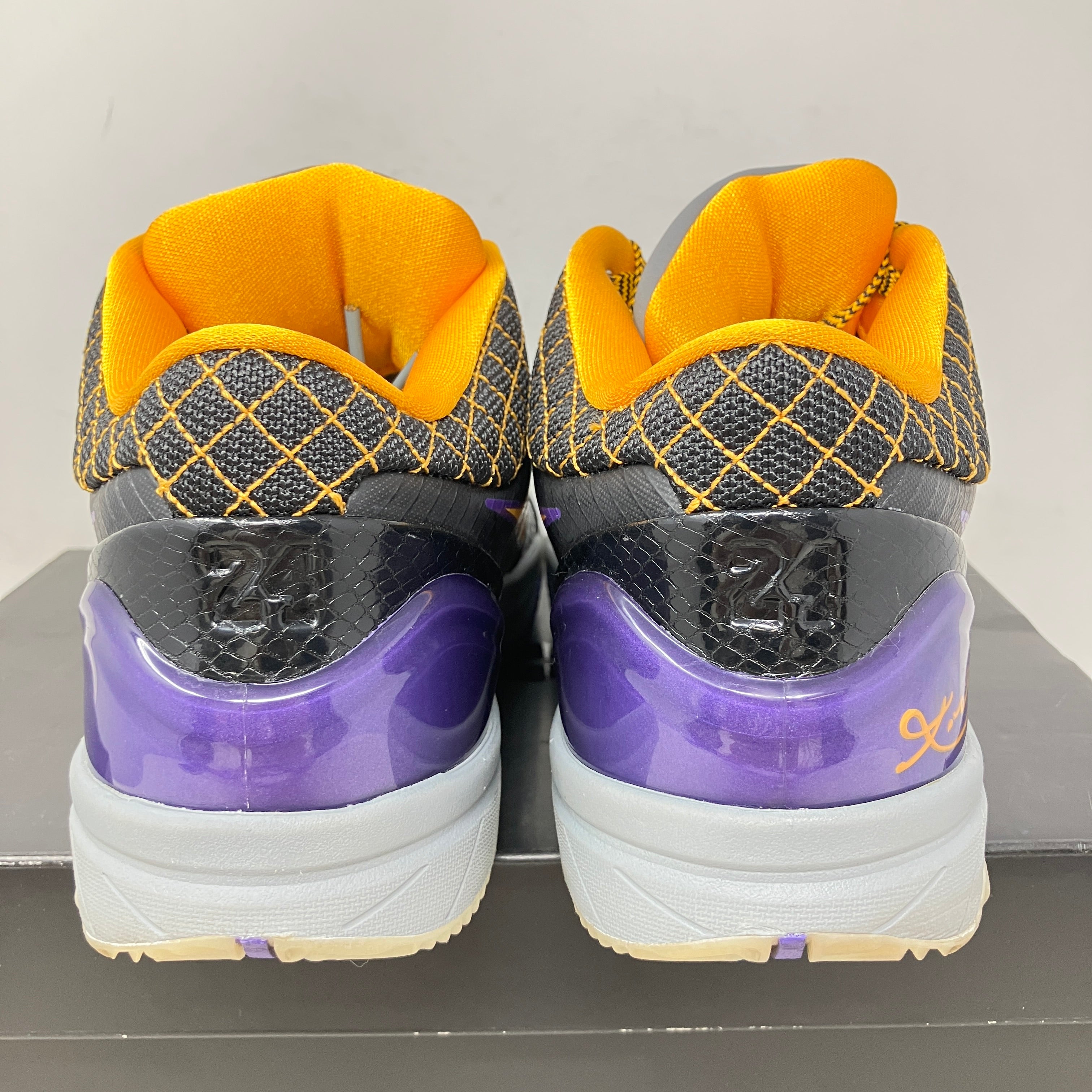 Nike Kobe 4 Protro Carpe Diem
