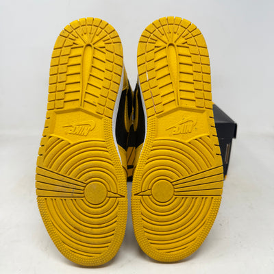 Jordan 1 Retro High OG Pollen (GS)