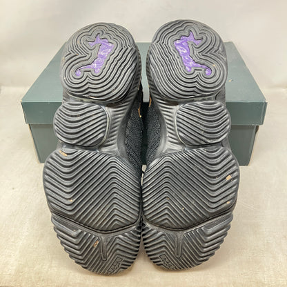 Nike LeBron 16 I'm King