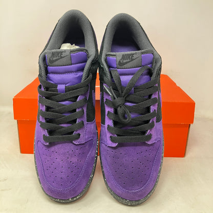 Nike Dunk CL Varsity Purple (2009)