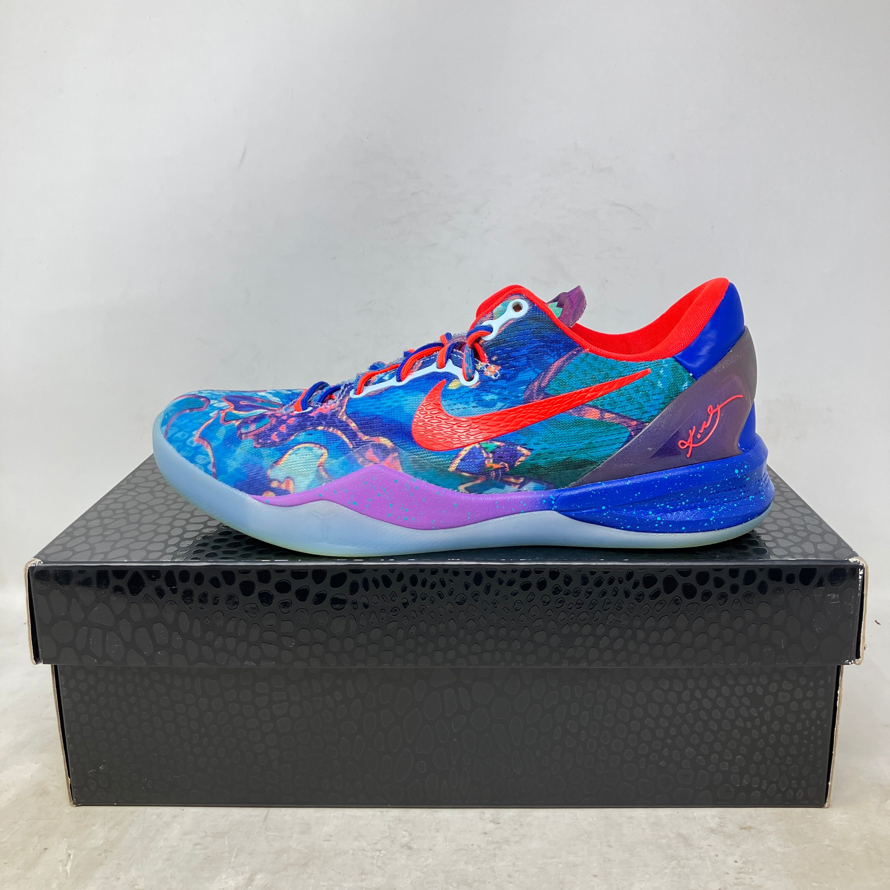Nike Kobe 8 Protro What The (2025)