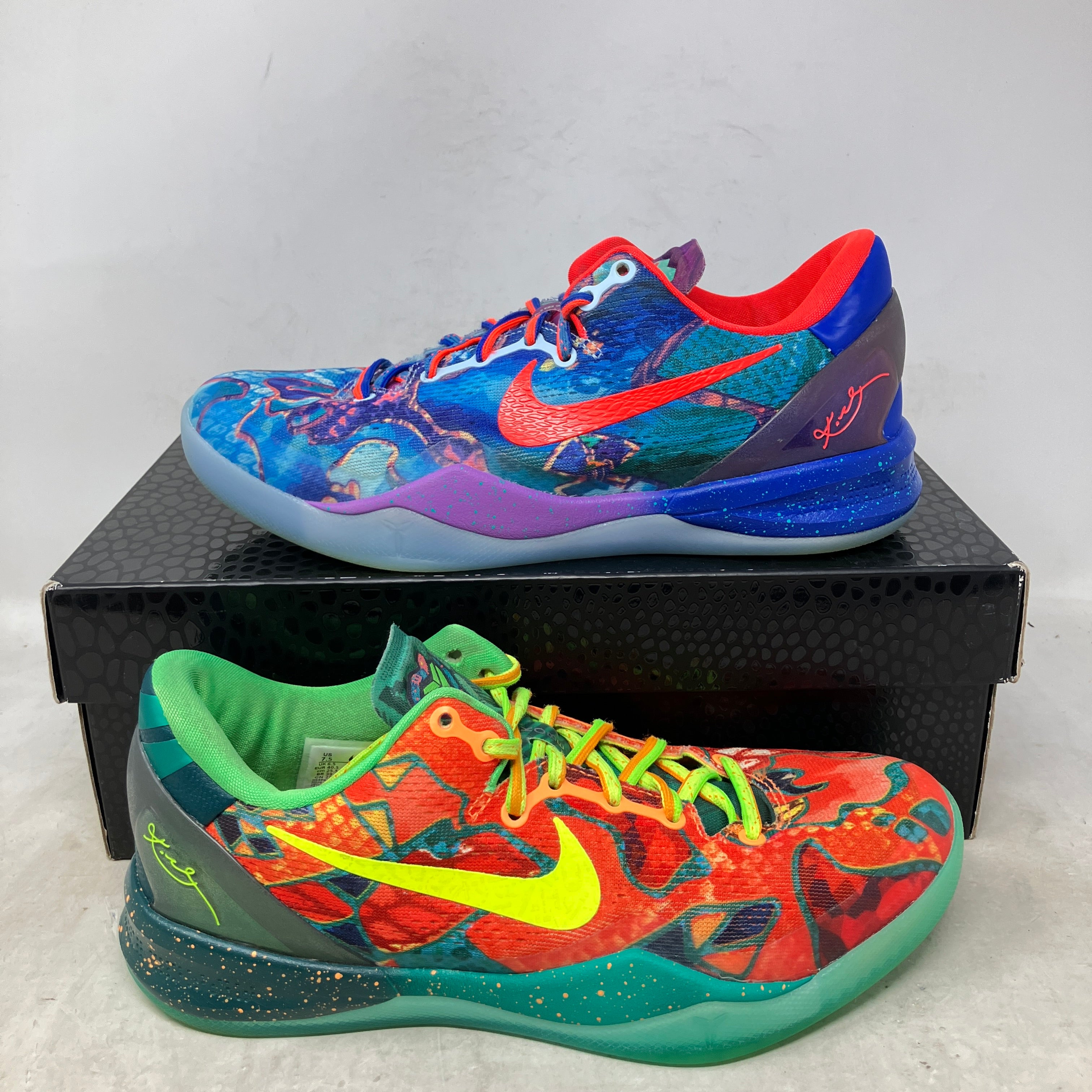Nike Kobe 8 Protro What The (2025)