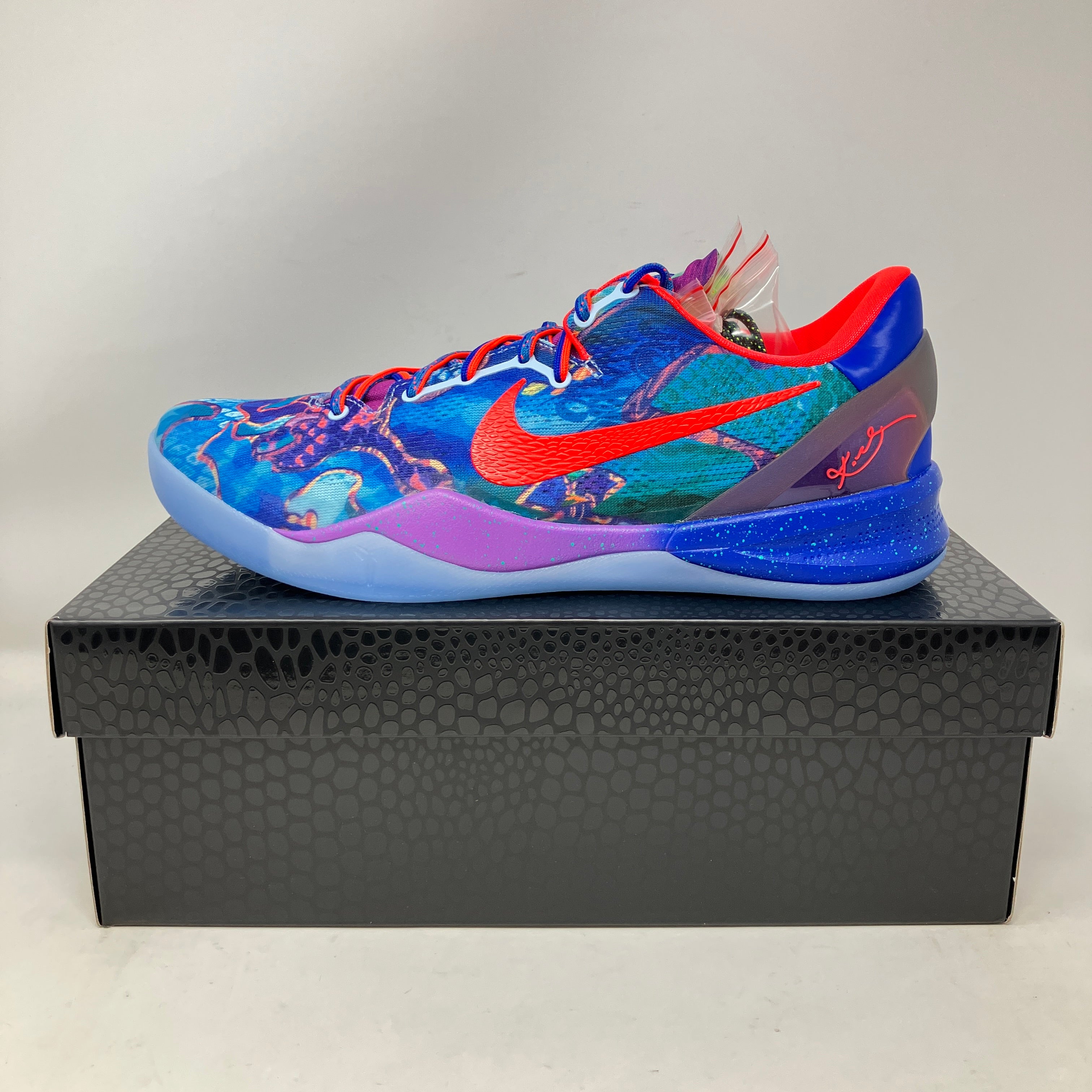 Nike Kobe 8 Protro What The (2025)