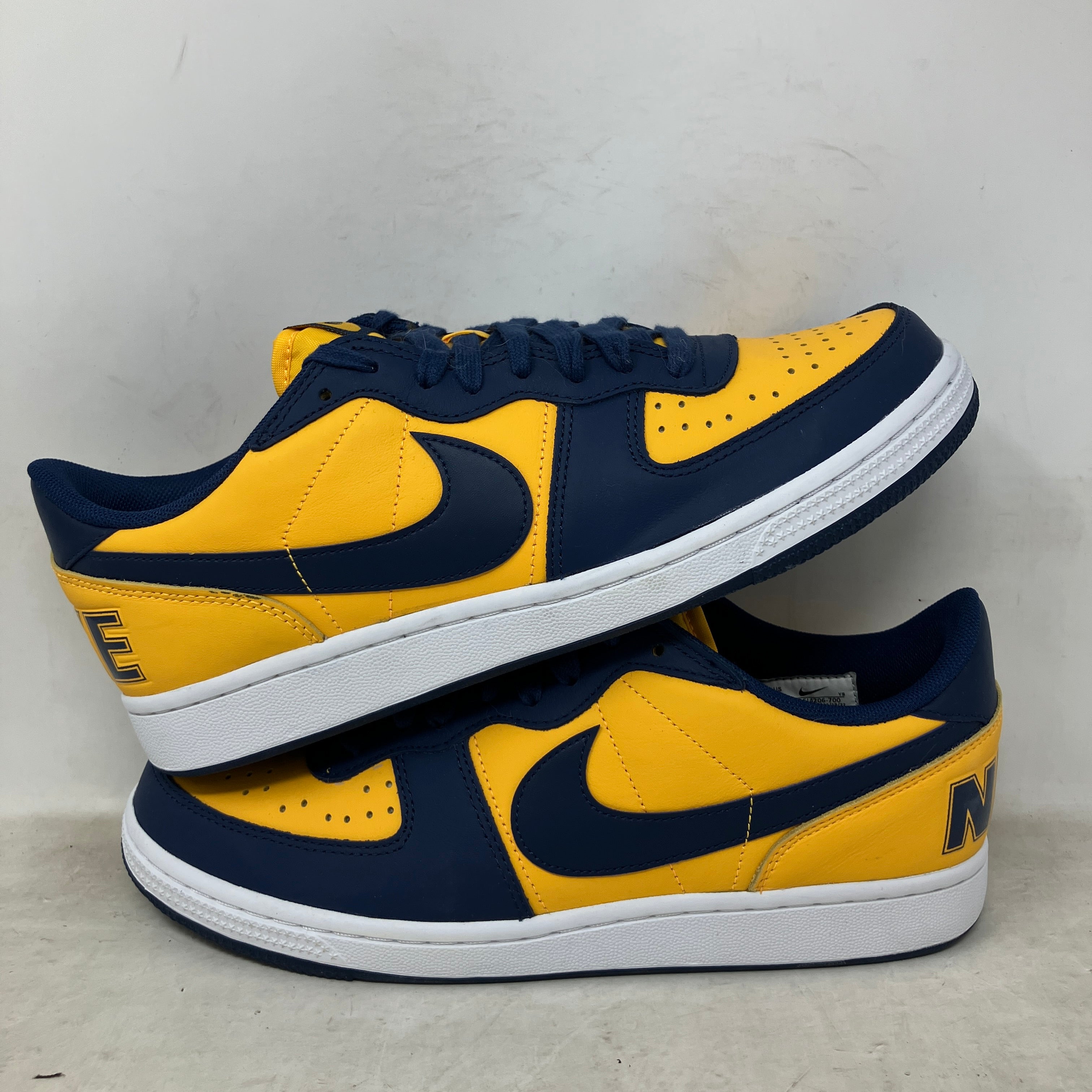 Nike Terminator Low Michigan