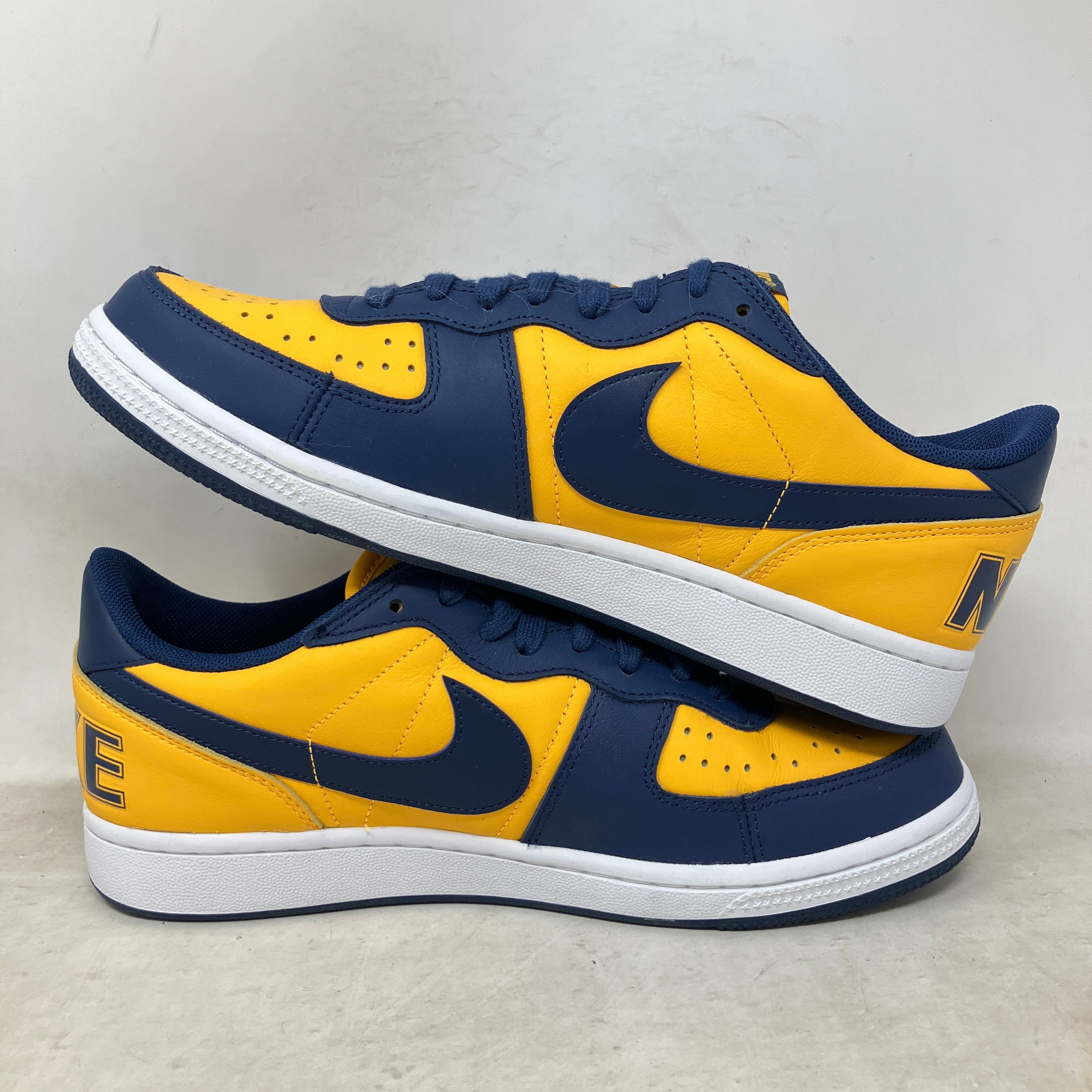 Nike Terminator Low Michigan