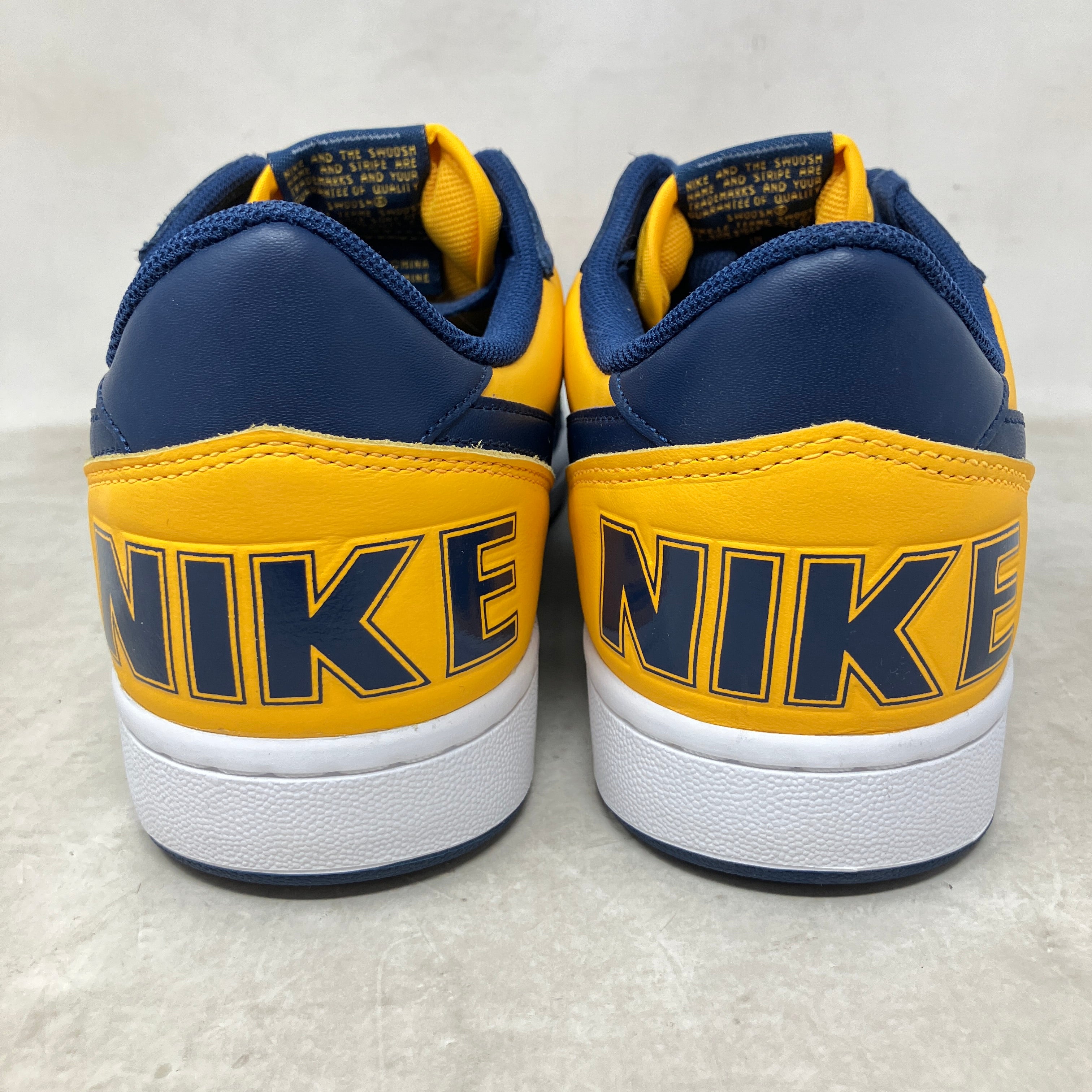 Nike Terminator Low Michigan