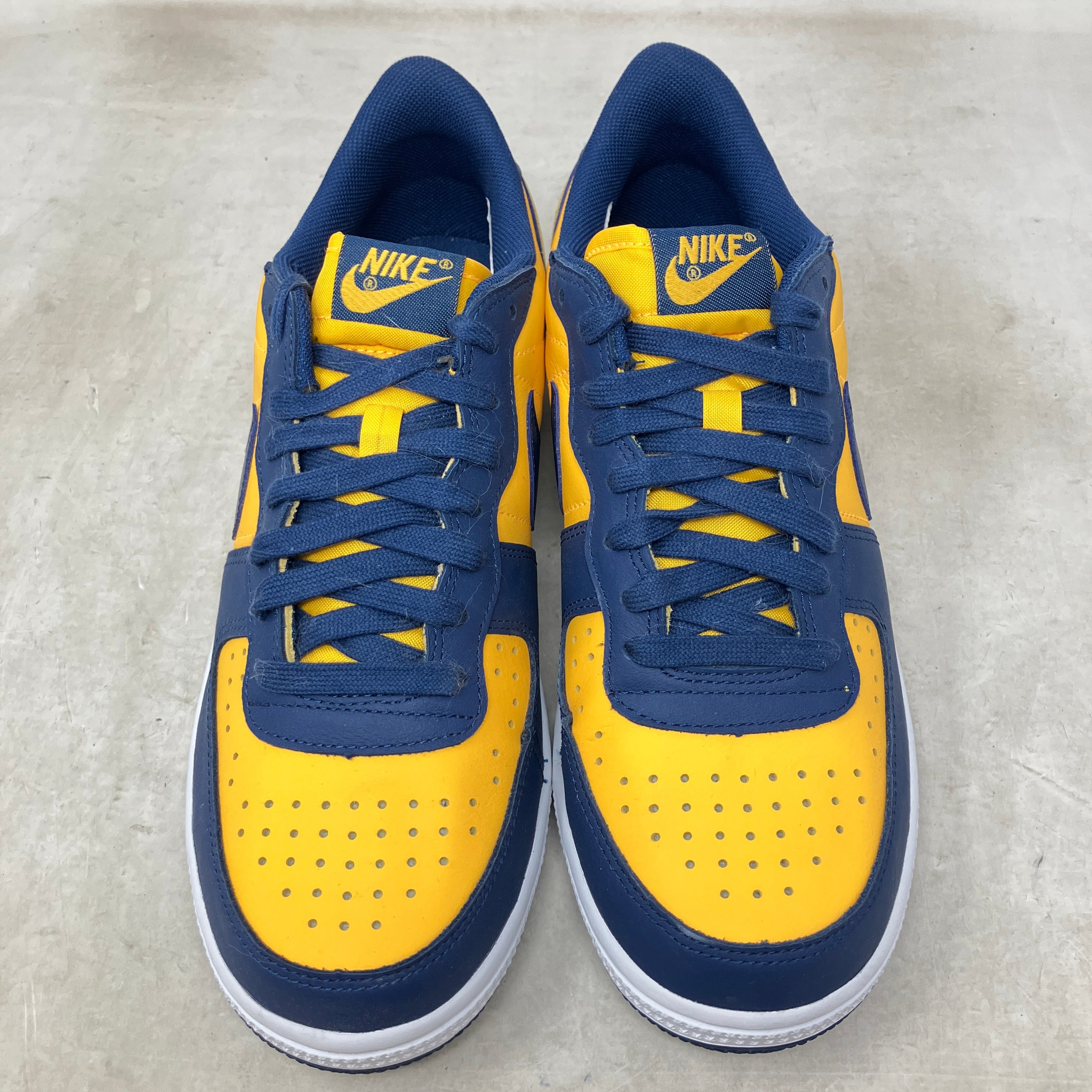 Nike Terminator Low Michigan