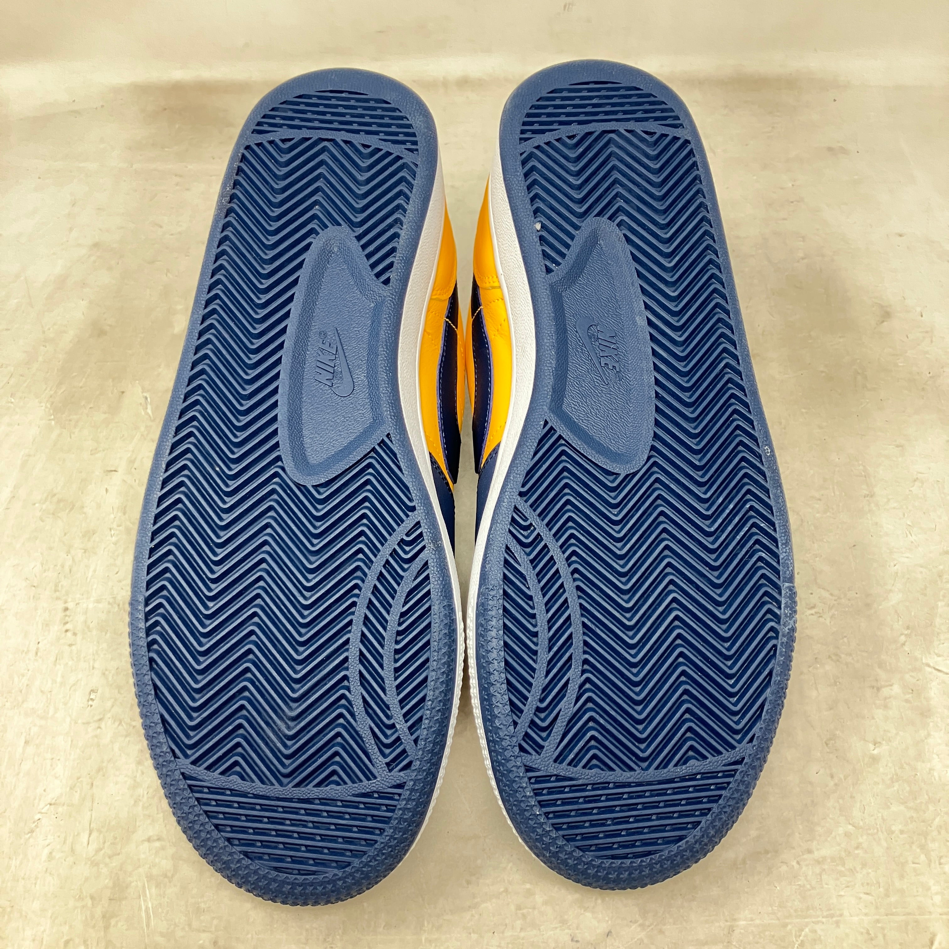 Nike Terminator Low Michigan