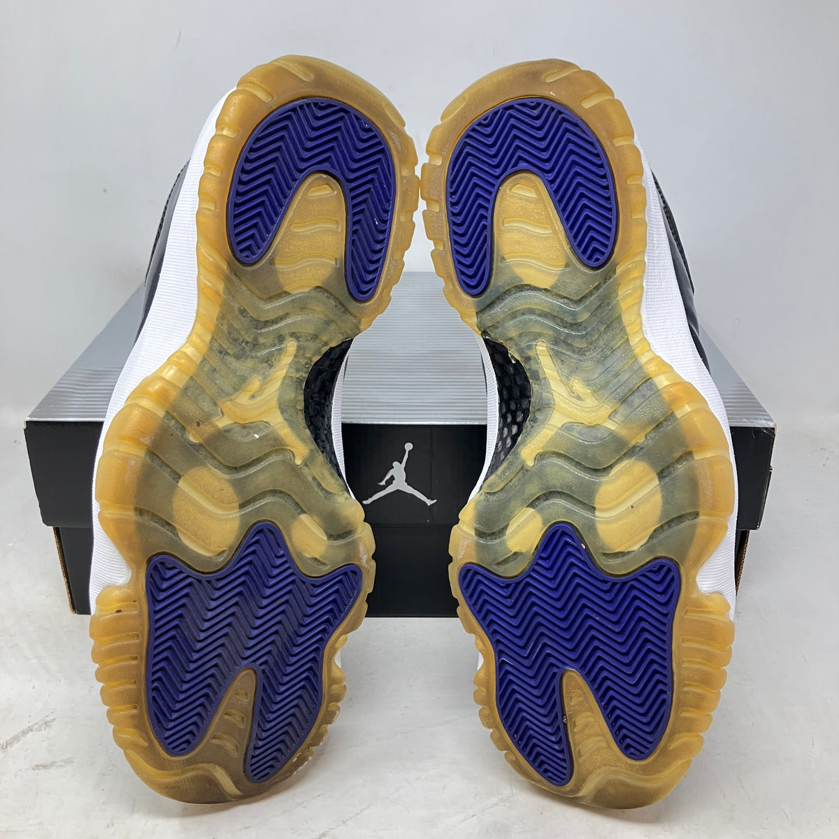 Jordan 11 Retro Concord (2000)
