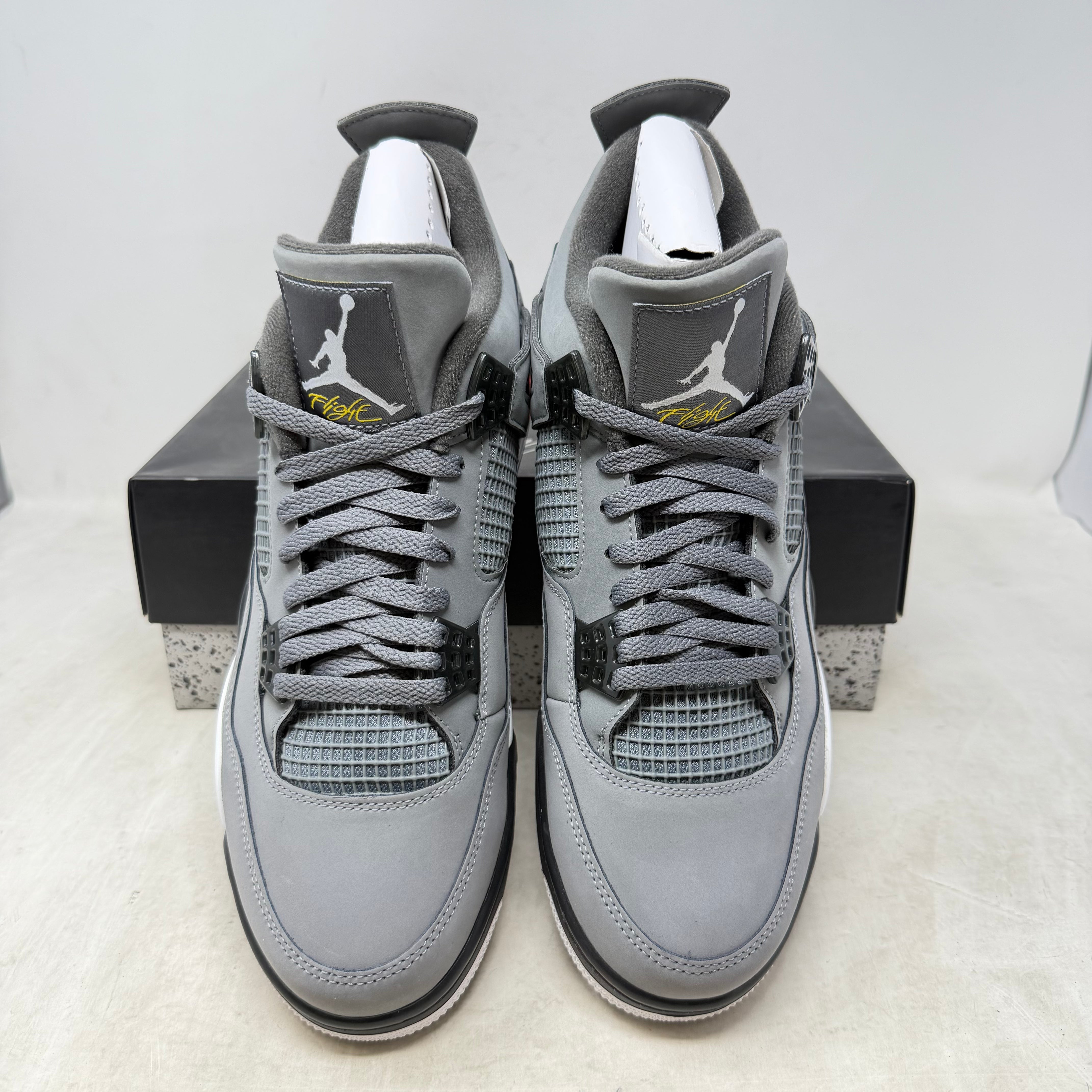 Jordan 4 Retro Cool Grey (2019)