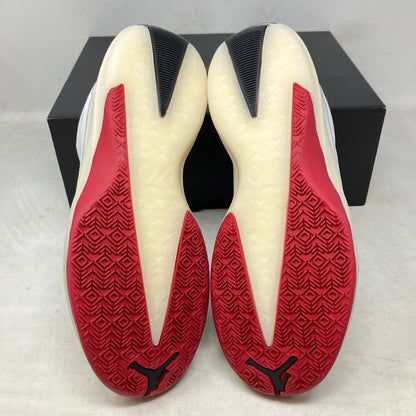 Jordan 40 Chicago