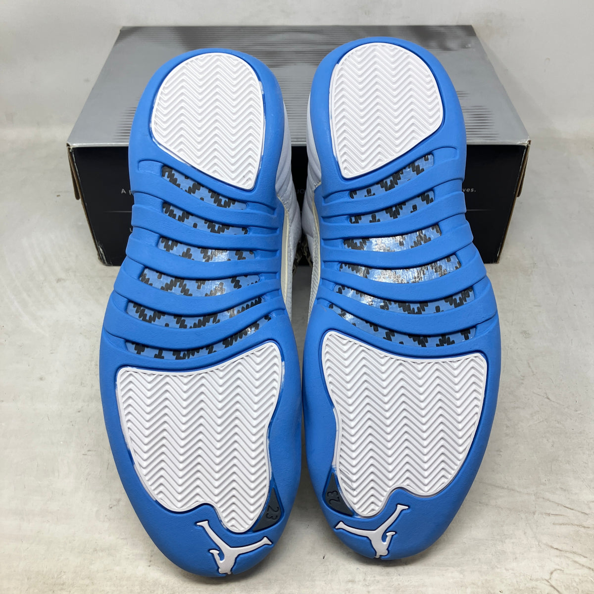 Jordan 12 Retro Melo (2004)