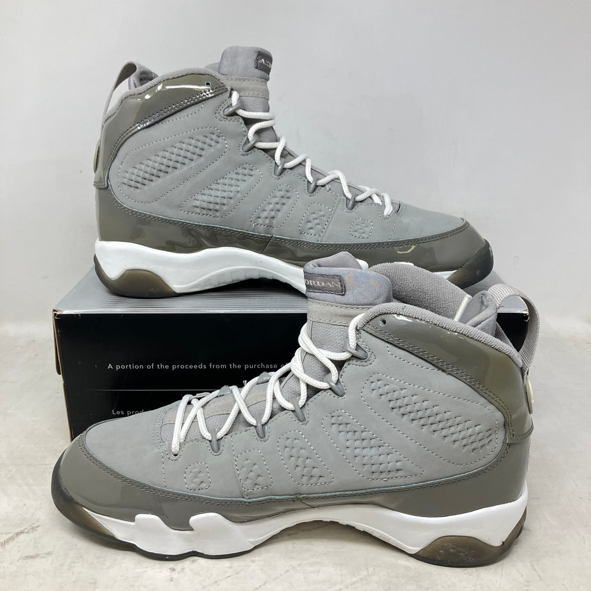 Jordan 9 Retro Cool Grey (2002)
