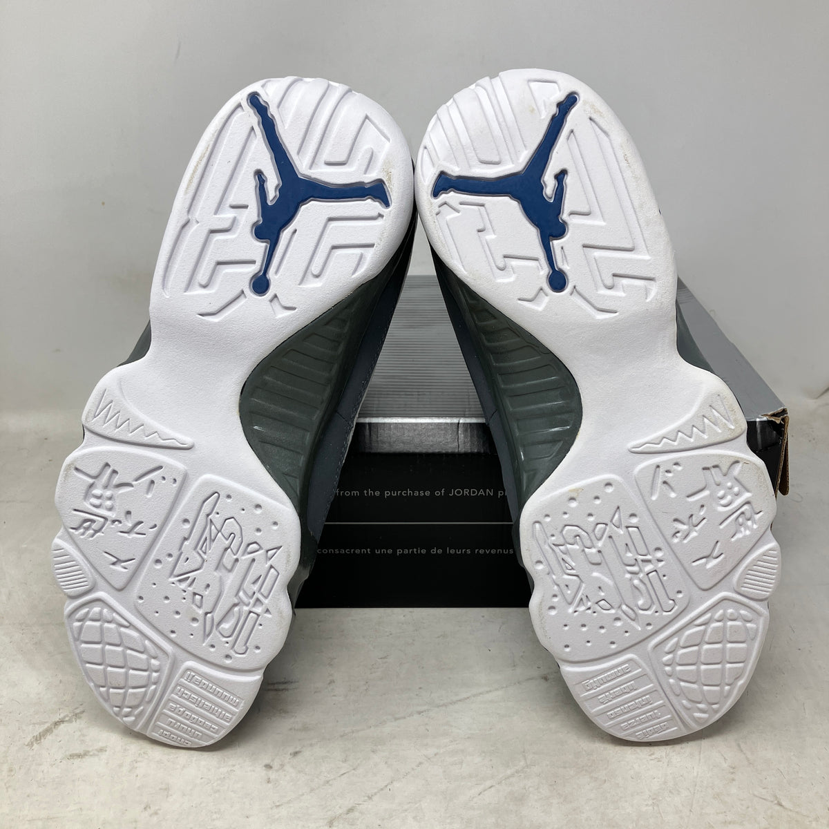 Jordan 9 Retro French Blue (2002)