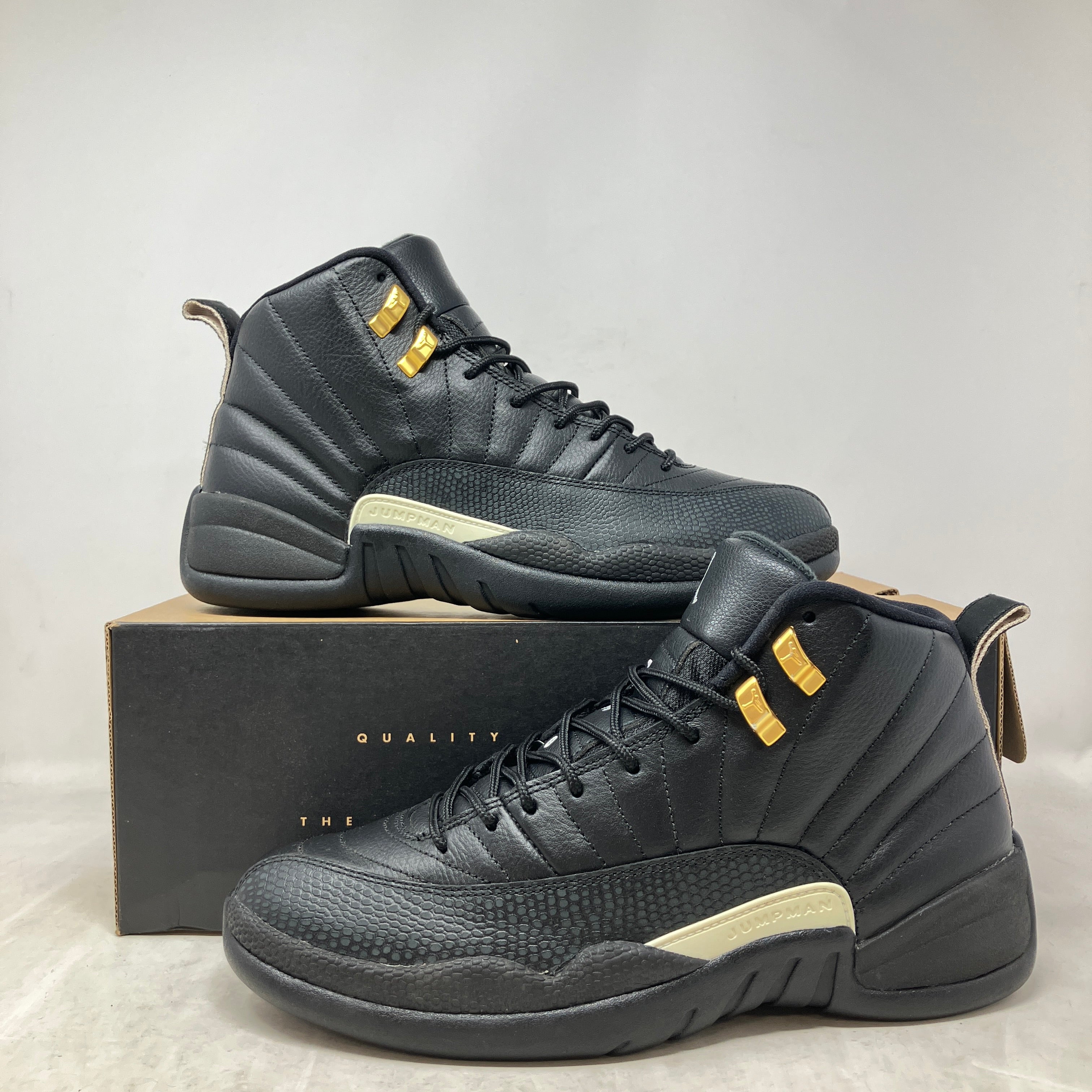 Jordan 12 Retro The Master