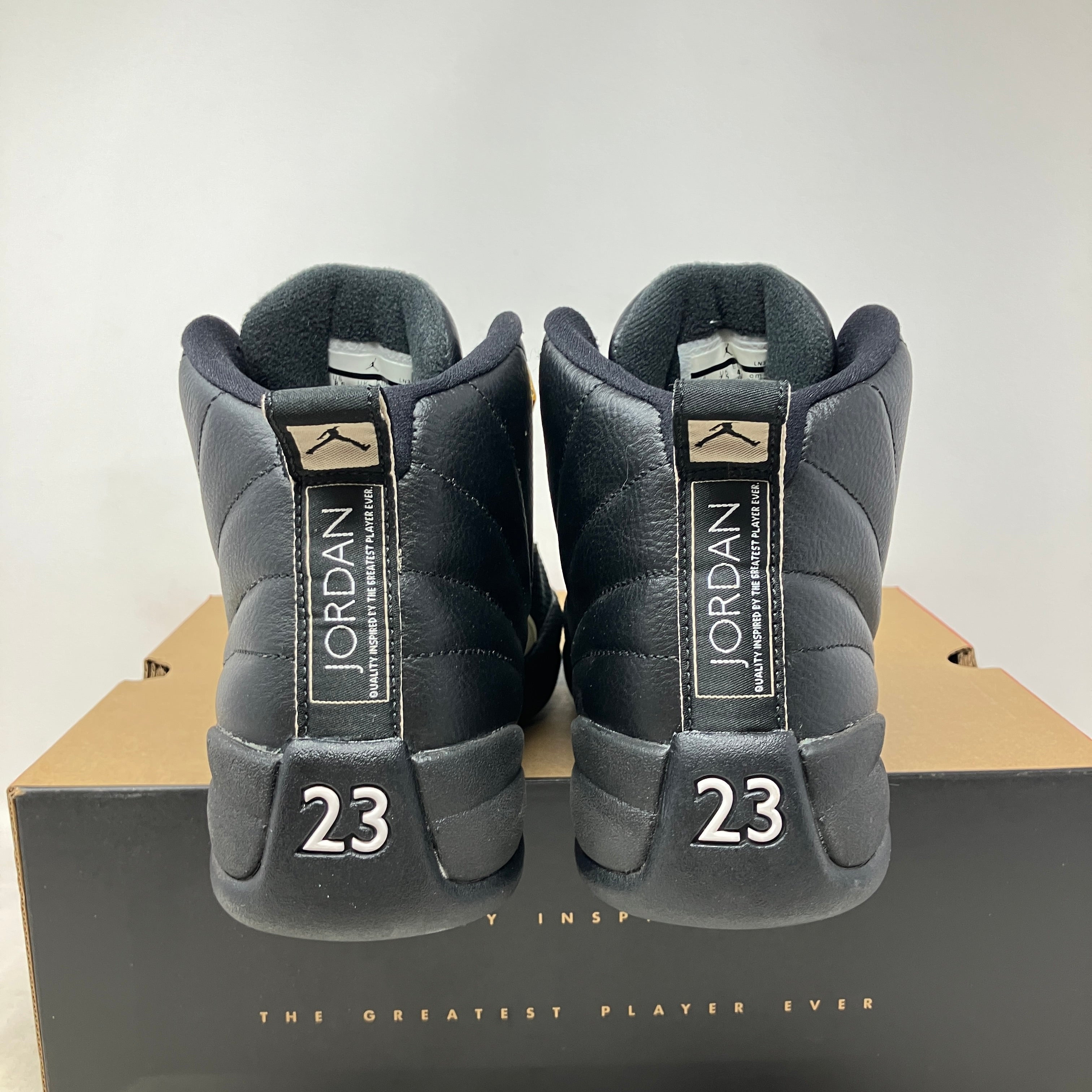 Jordan 12 Retro The Master