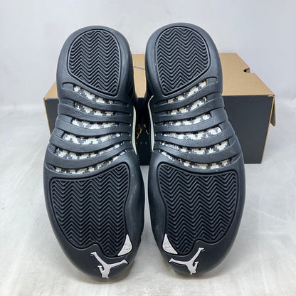 Jordan 12 Retro The Master