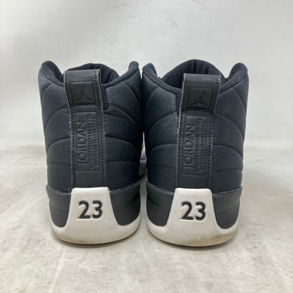 Jordan 12 Retro Nylon