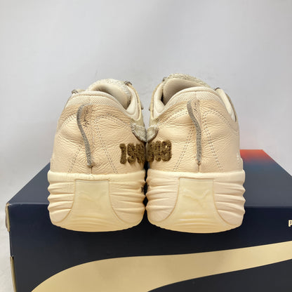 Puma All-Pro Nitro 2 Chris Brickley Canvas