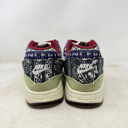 Nike Air Max 1 SP Concepts Mellow