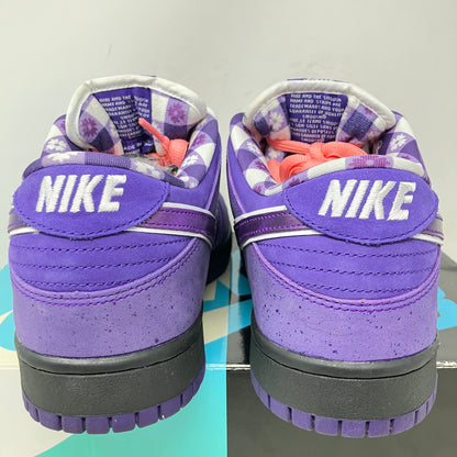 Nike SB Dunk Low Concepts Purple Lobster